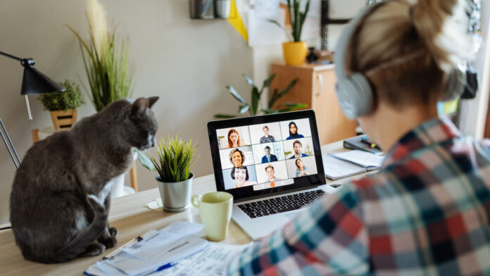 New reality - working from home with pets and kids Zillow study remote work