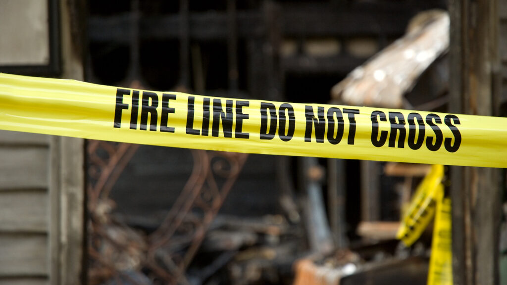 disaster insurance PLM